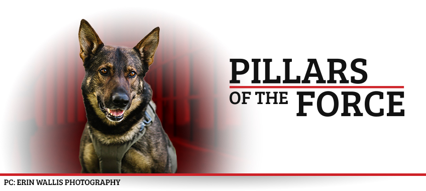 Pillars of the Force Police Dogs